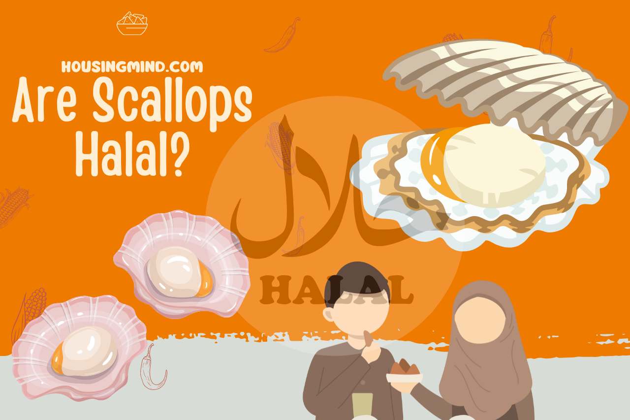 Are scallops halal